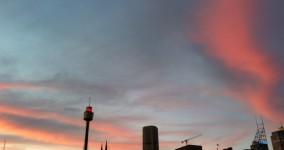 20111128-184431.jpg